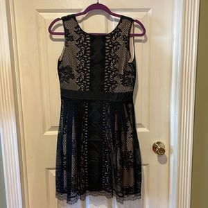 Black Lace mi a mi Mini Dress